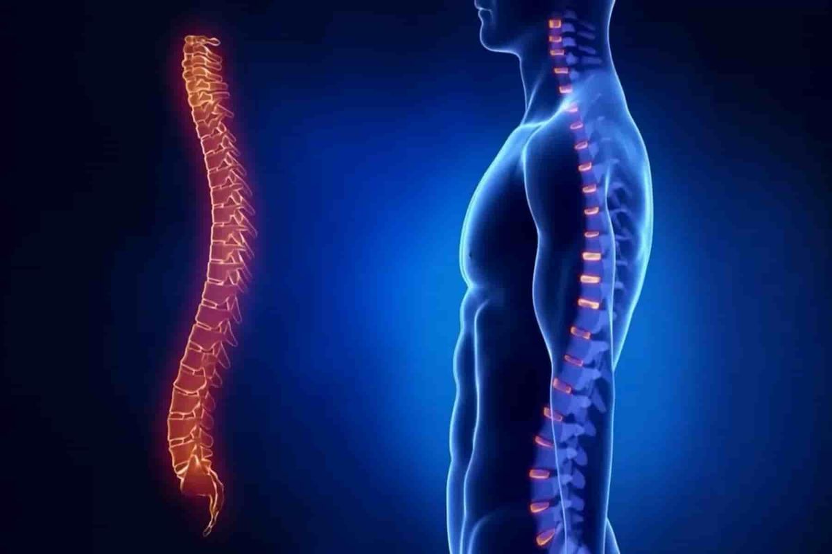 MRI of the spine in Moscow