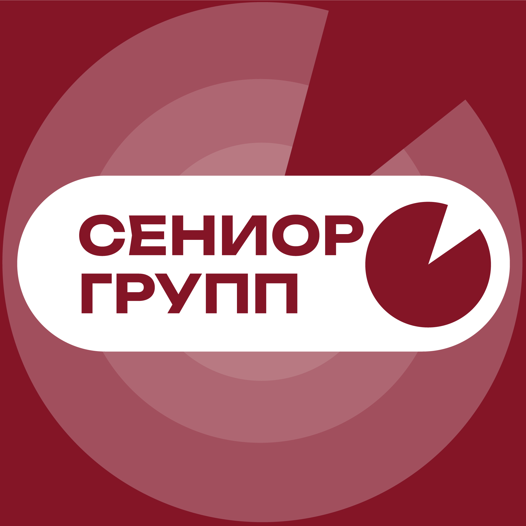 Logo Senior Group